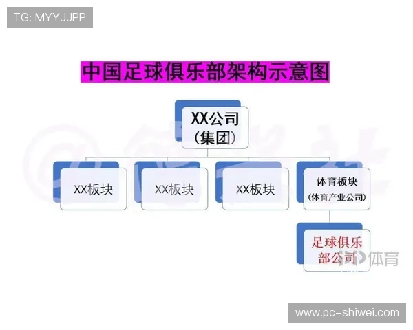 中欧体育合作在推动国际体育交流中的作用与具体案例分析