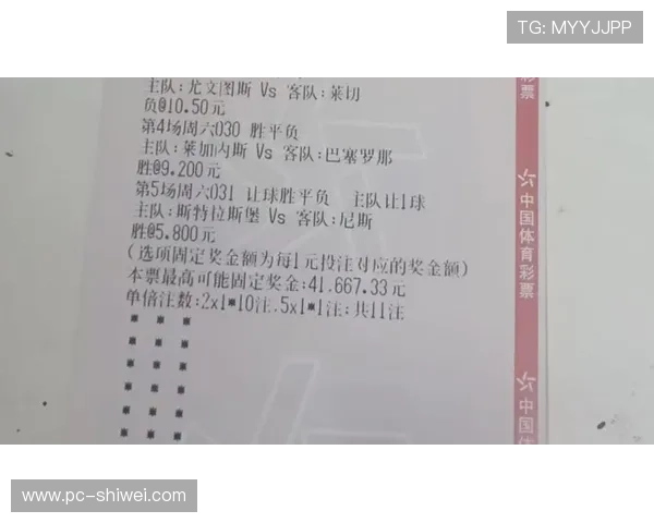 中国足彩网竞彩官网最新开奖结果官方公布，确保每一场比赛数据的真实性与权威性